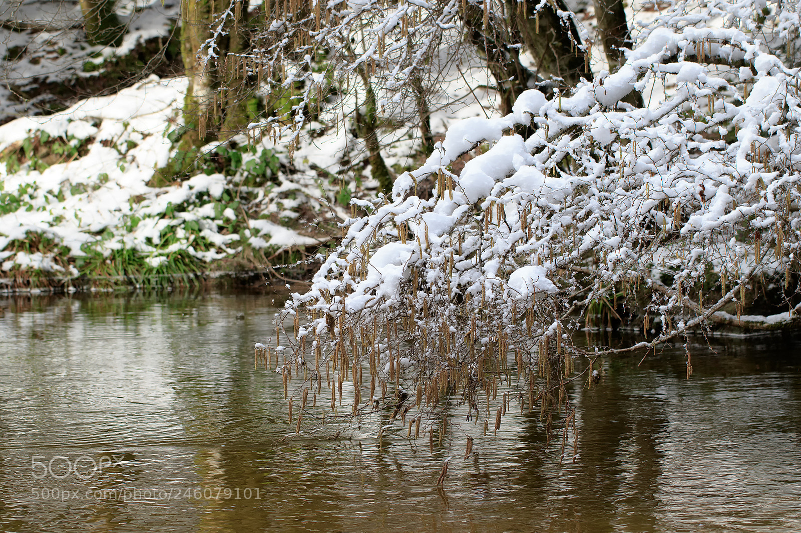 Canon EOS 7D Mark II sample photo. Ka photography