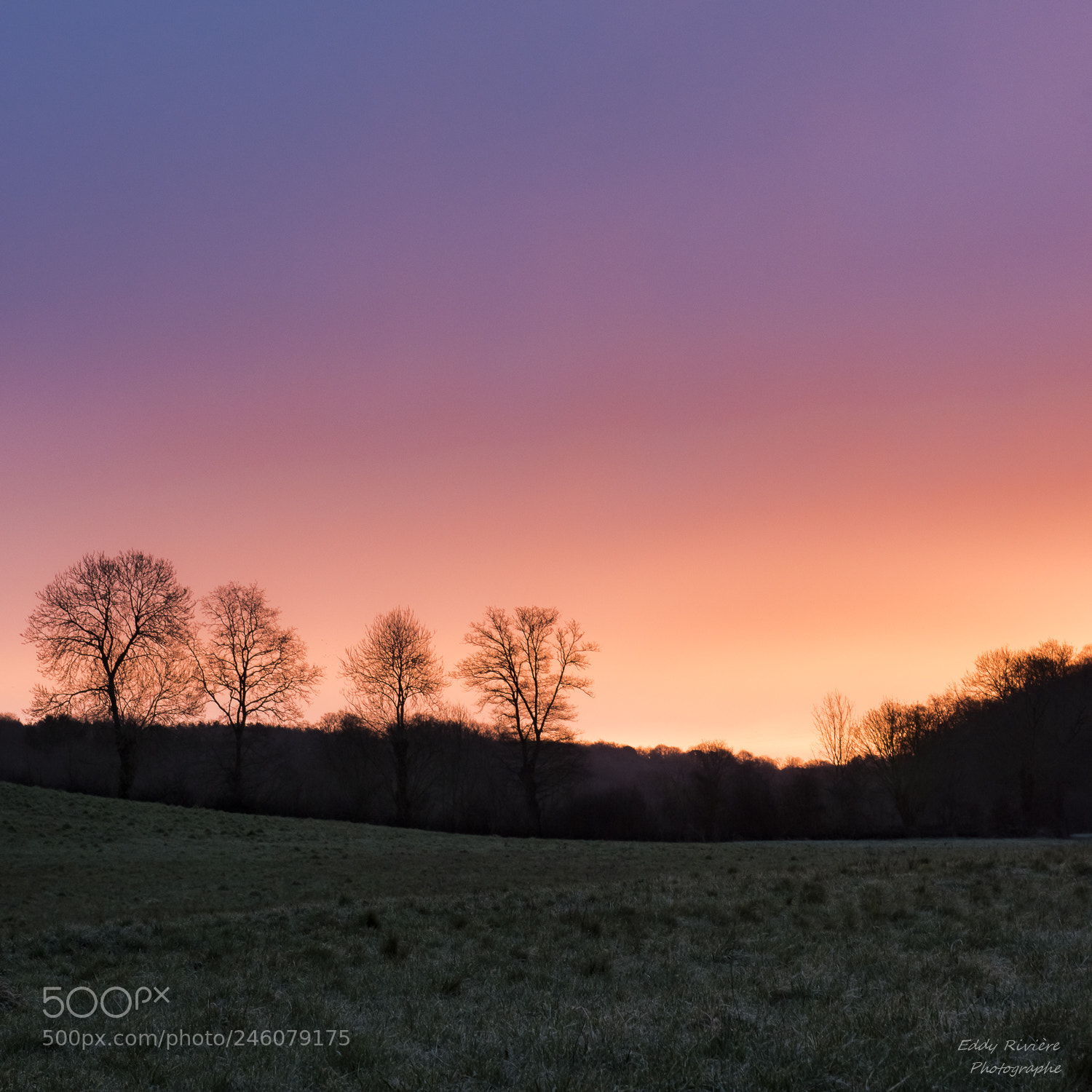 Nikon D810 sample photo. Colorful morning photography