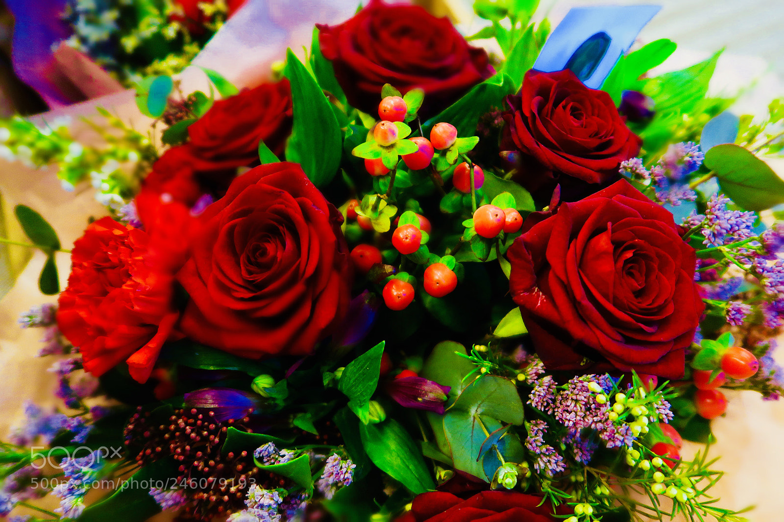 Canon PowerShot G7 X Mark II sample photo. The rose is red photography