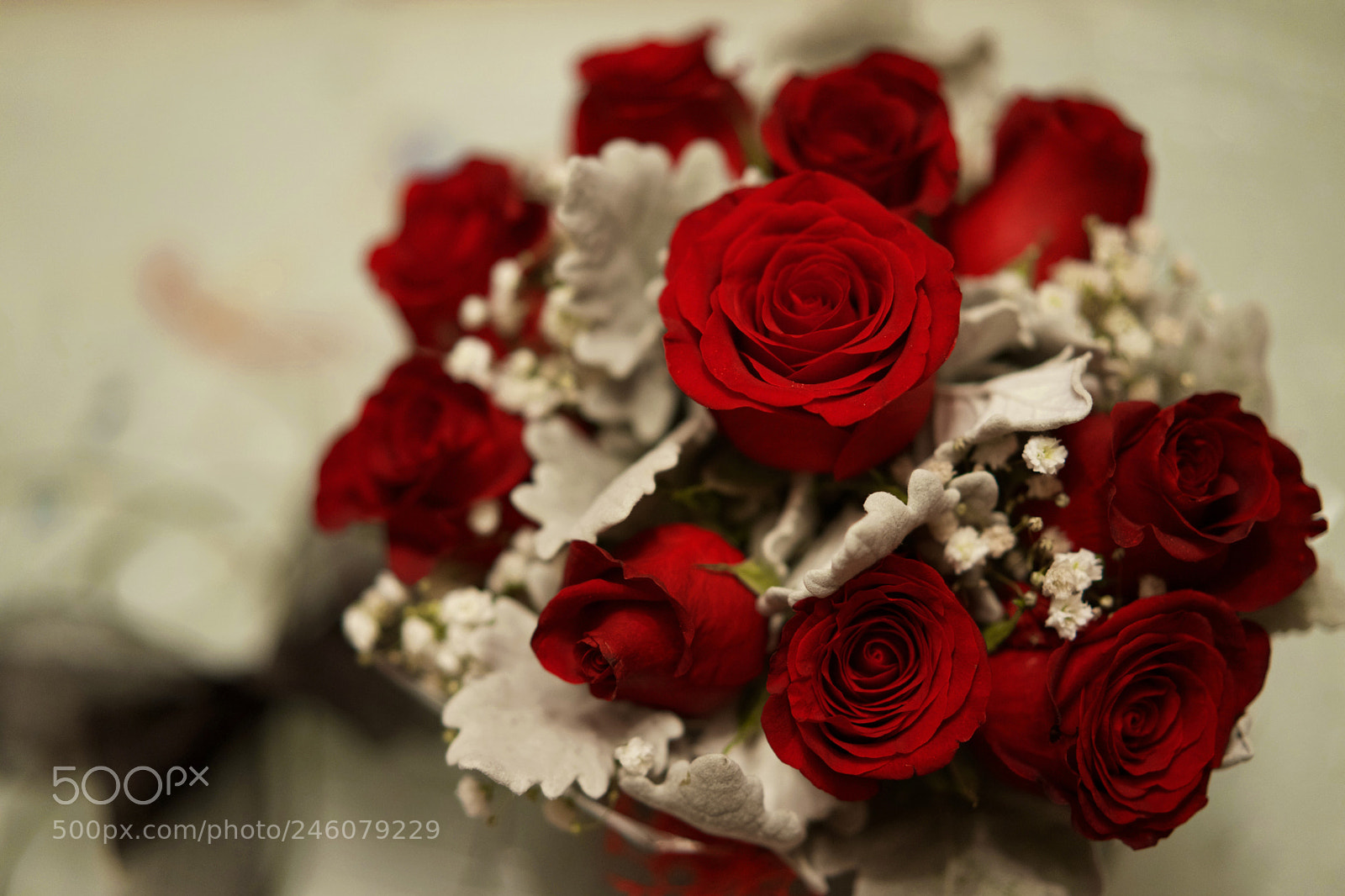 Sony a7 II sample photo. 情人节快乐 photography