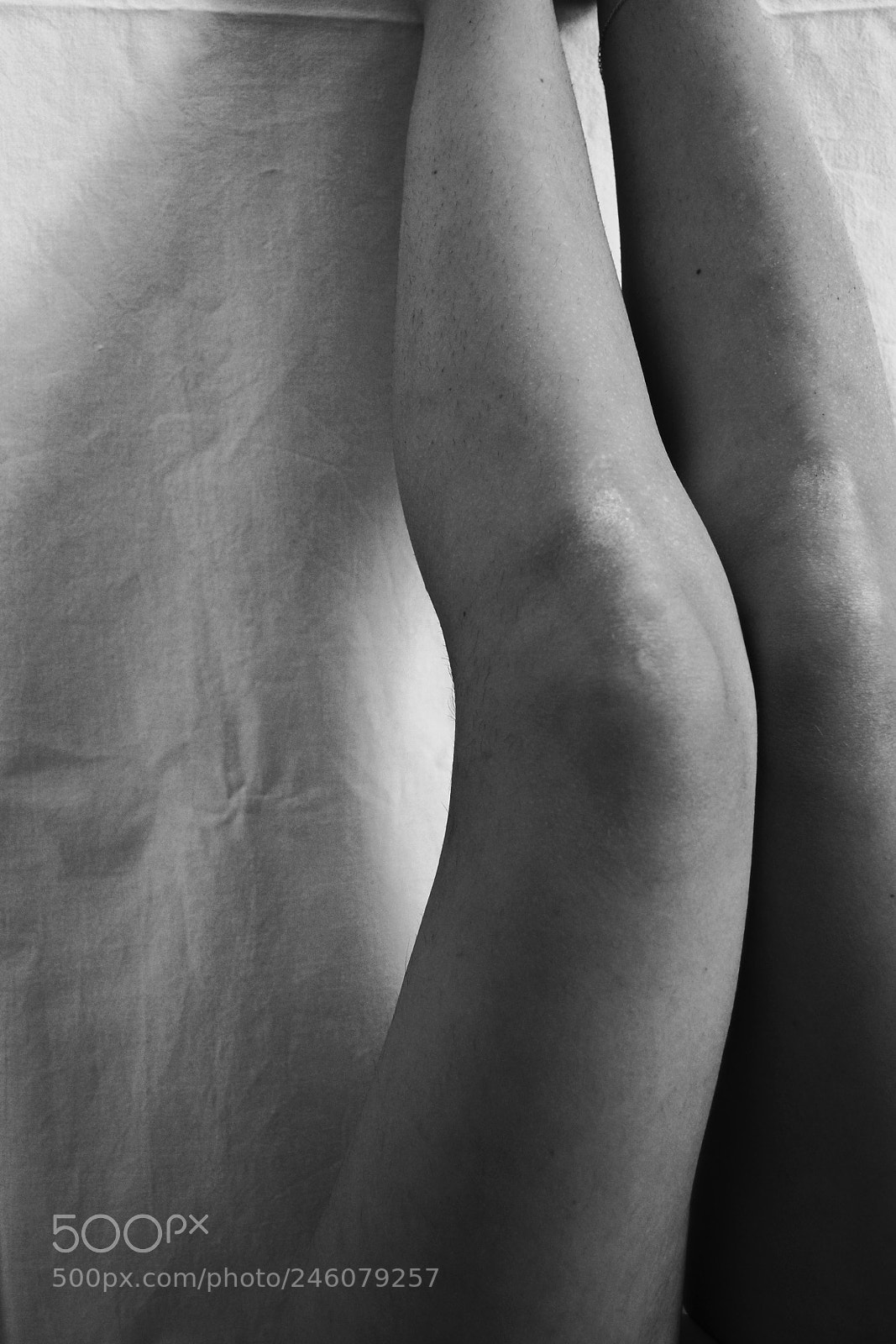 Nikon D3100 sample photo. Ombre, 2015 photography