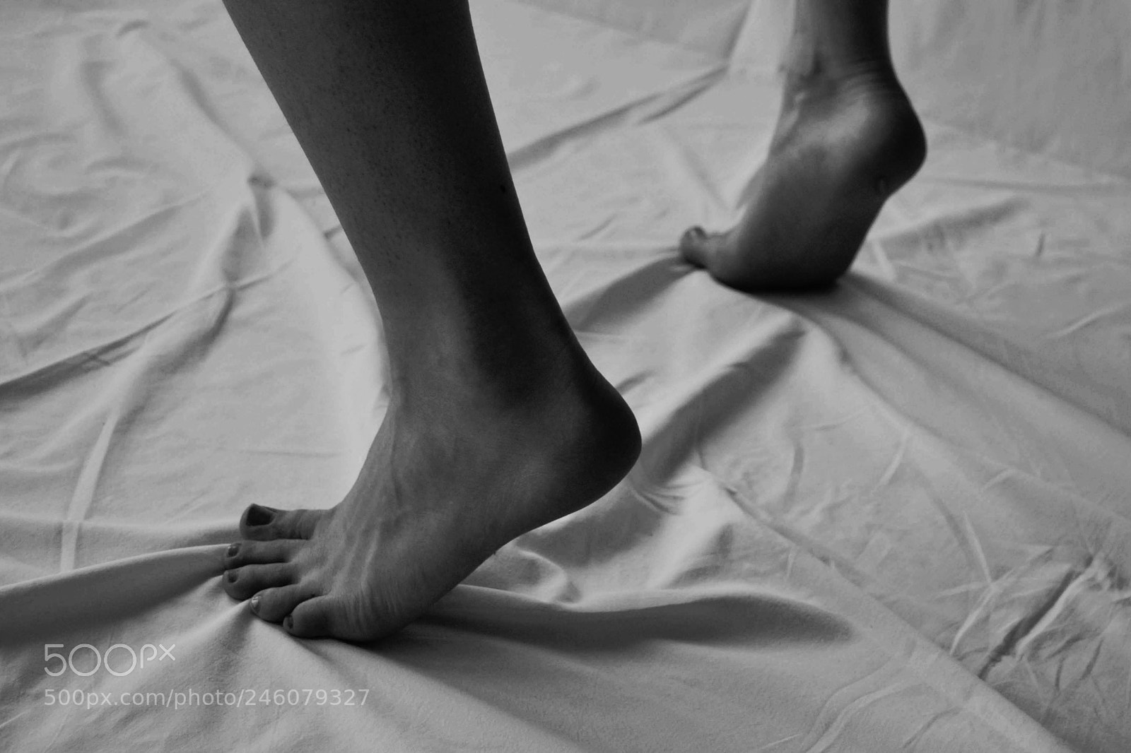 Nikon D3100 sample photo. La danza degli stolti, 2015 photography