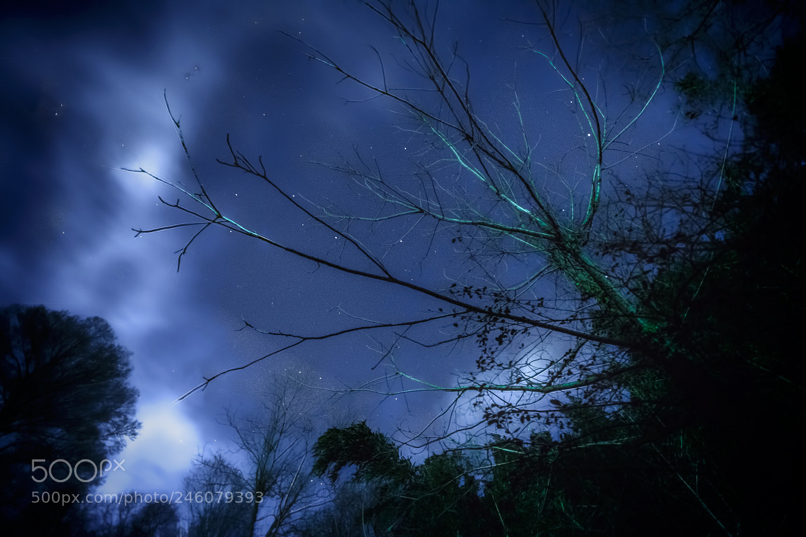 Nikon D7100 sample photo. Untitled photography