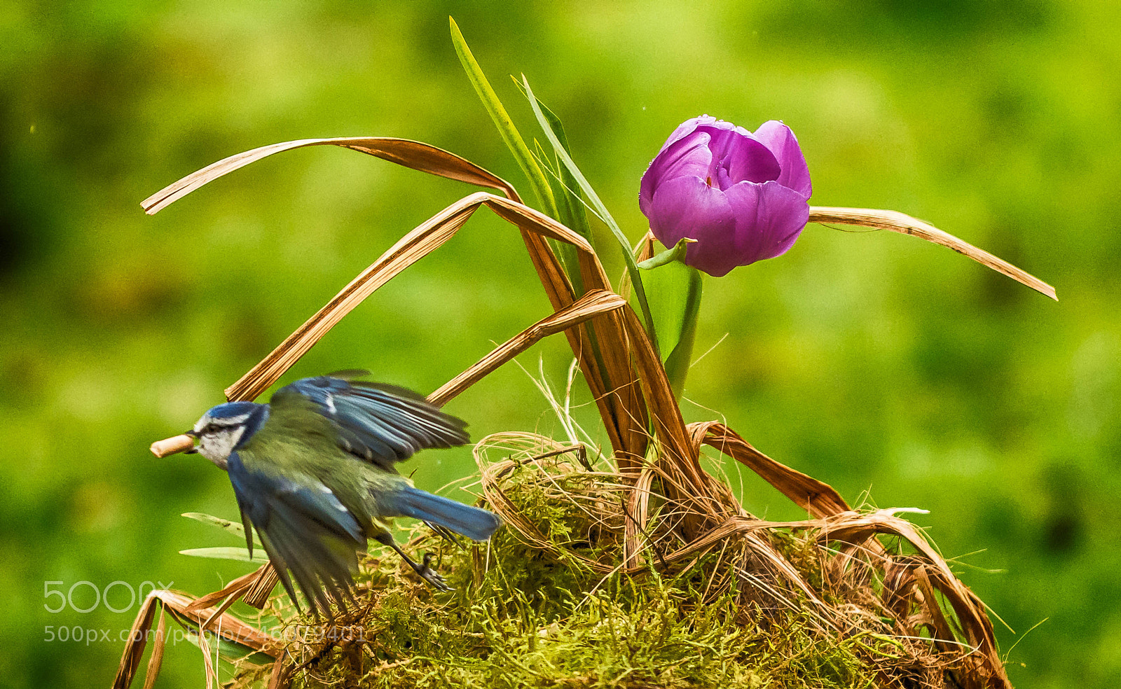 Nikon D7200 sample photo. Hdr fly by photography