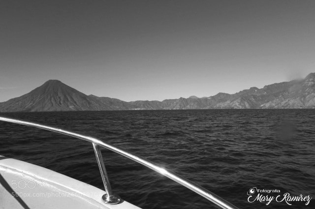 Canon PowerShot SX500 IS sample photo. Blanco photography