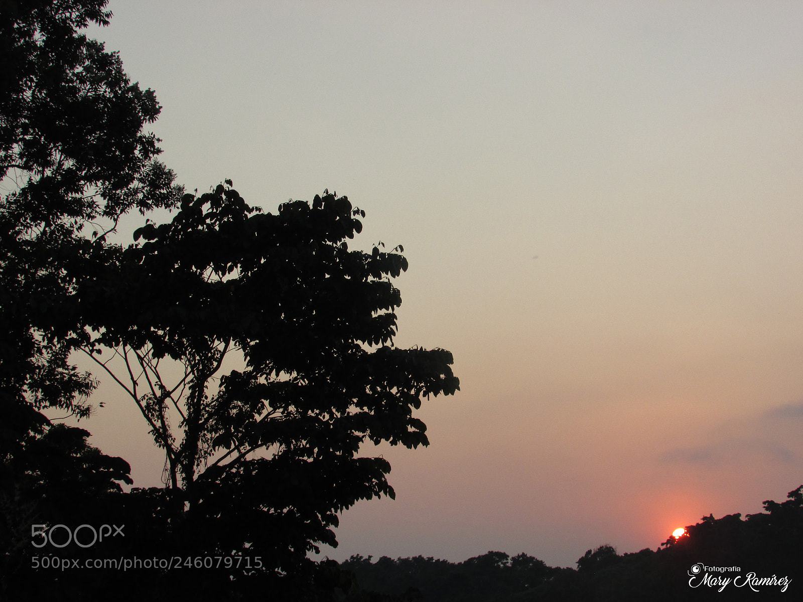 Canon PowerShot SX500 IS sample photo. Img photography