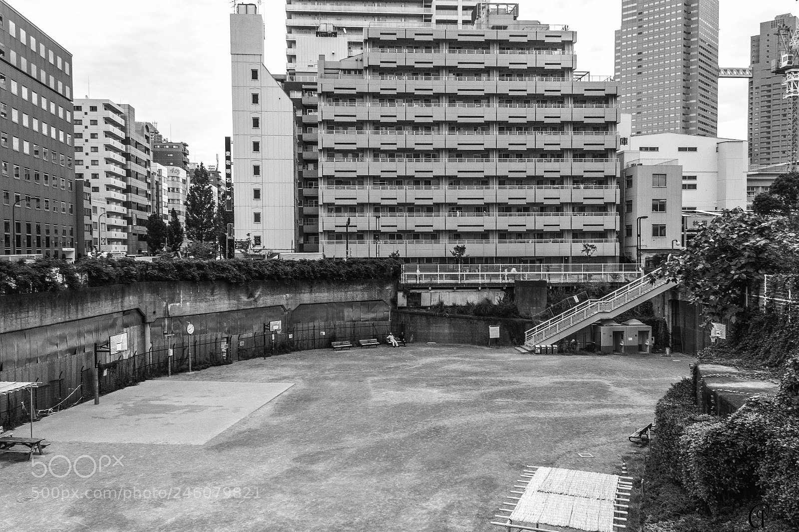 Canon EOS 550D (EOS Rebel T2i / EOS Kiss X4) sample photo. Morning talk photography