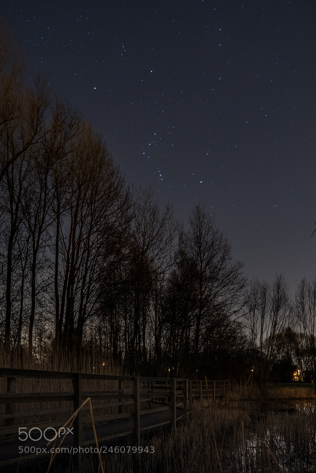 Panasonic Lumix DMC-GH4 sample photo. Groene long night photography