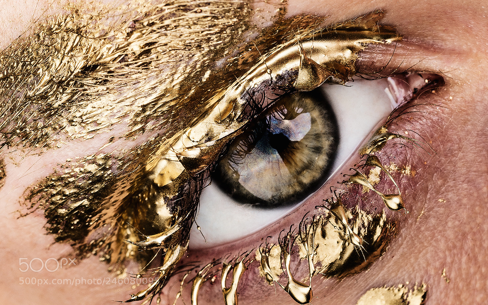 Sony a7 II sample photo. Golden eye photography