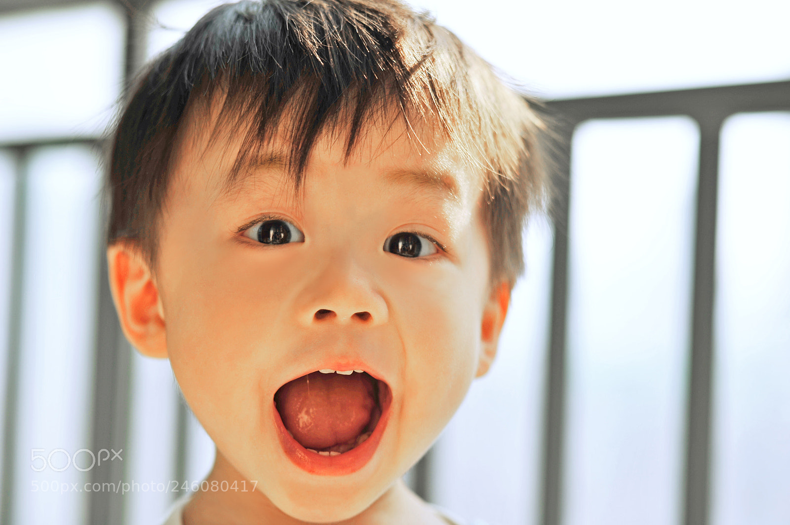 Nikon D700 sample photo. Untitled photography
