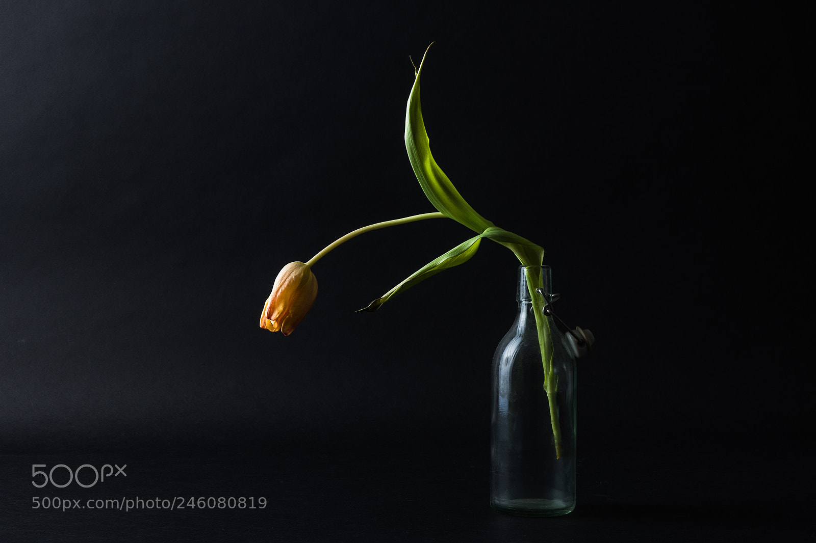 Nikon D610 sample photo. Light photography