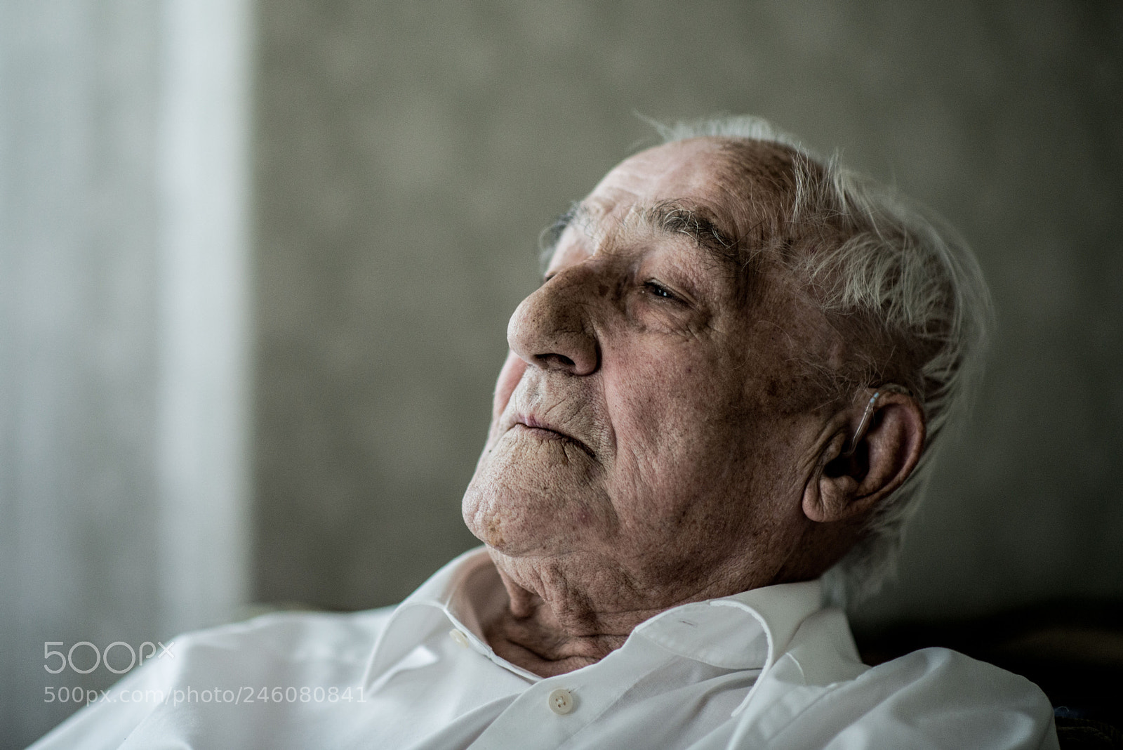 Nikon D800 sample photo. Rudi, 2013 photography
