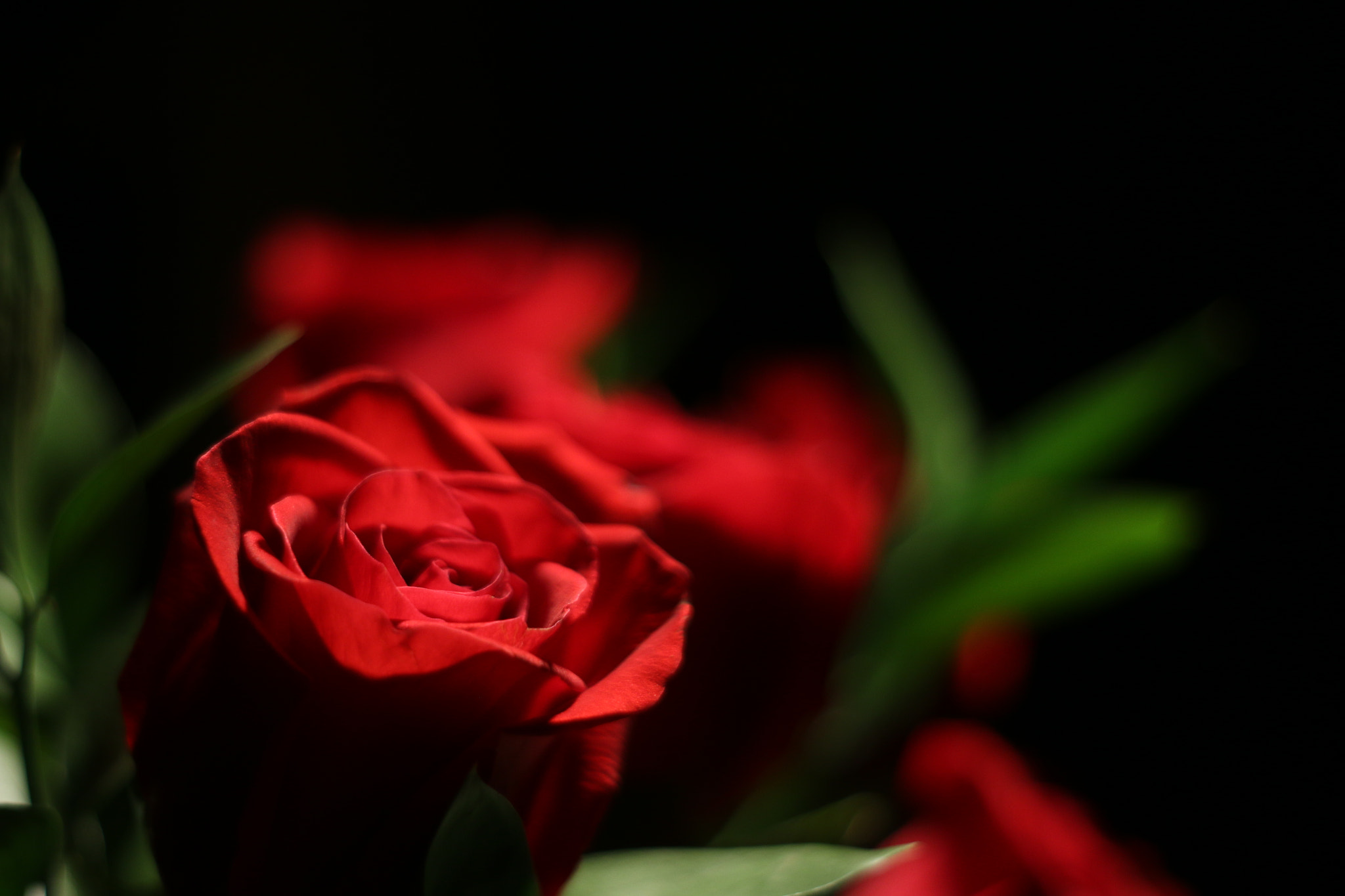 Canon EOS 70D sample photo. Valentine’s day photography