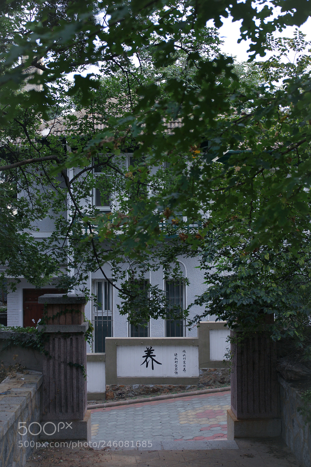 Canon EOS 60D sample photo. 八七疗养院 photography