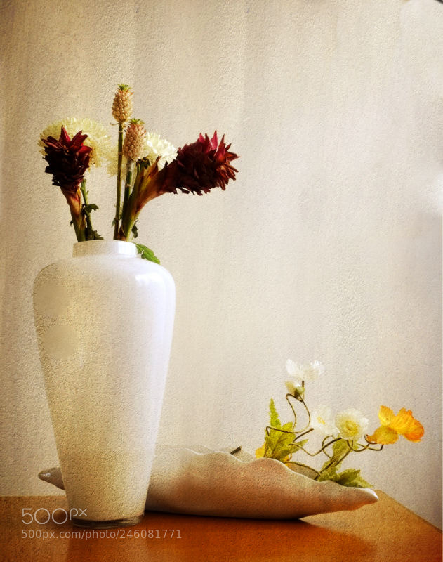 Fujifilm X-Pro1 sample photo. B photography