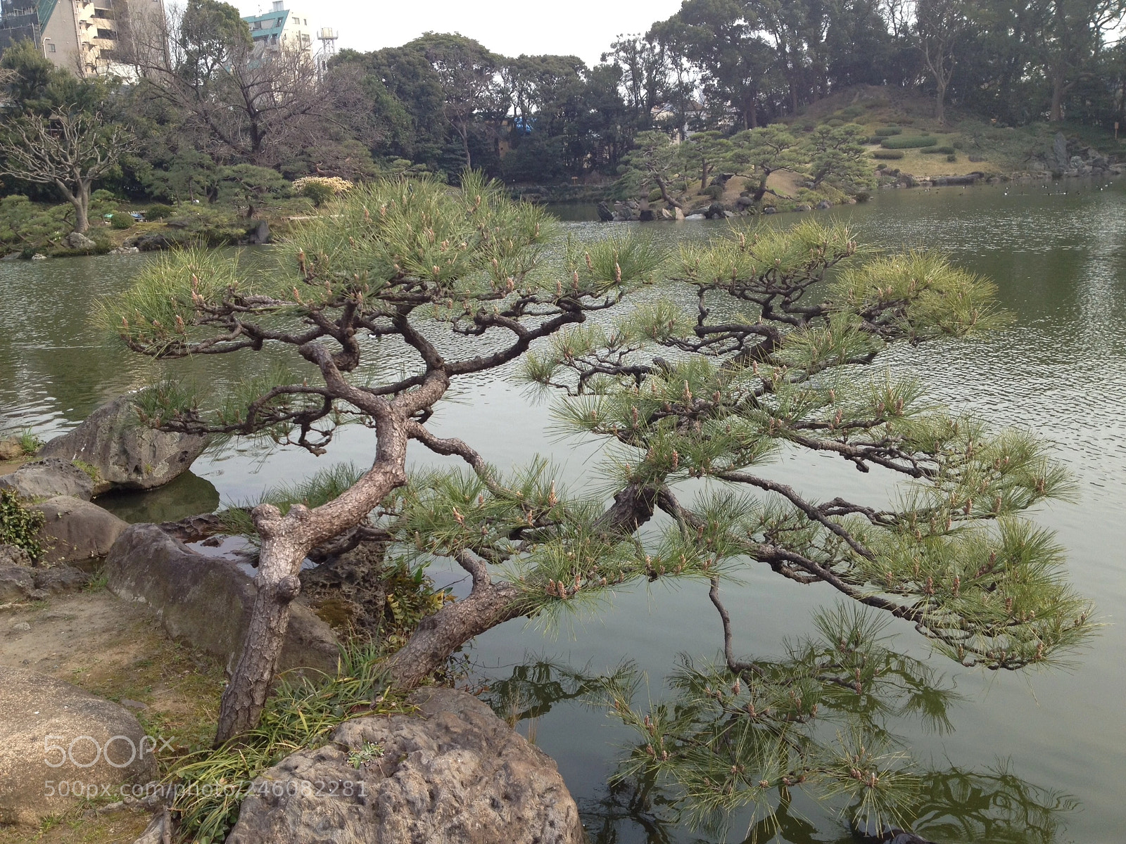 Apple iPhone 4S sample photo. Japan park photography