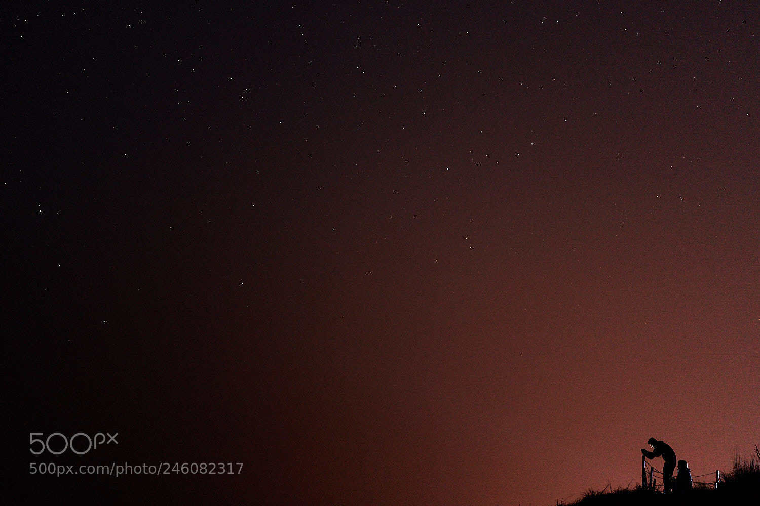 Sony a7 II sample photo. Star photographer photography