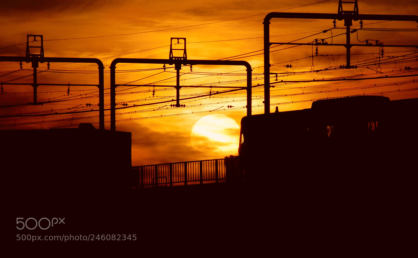 Canon EOS 7D Mark II sample photo. 夕日に向かって photography