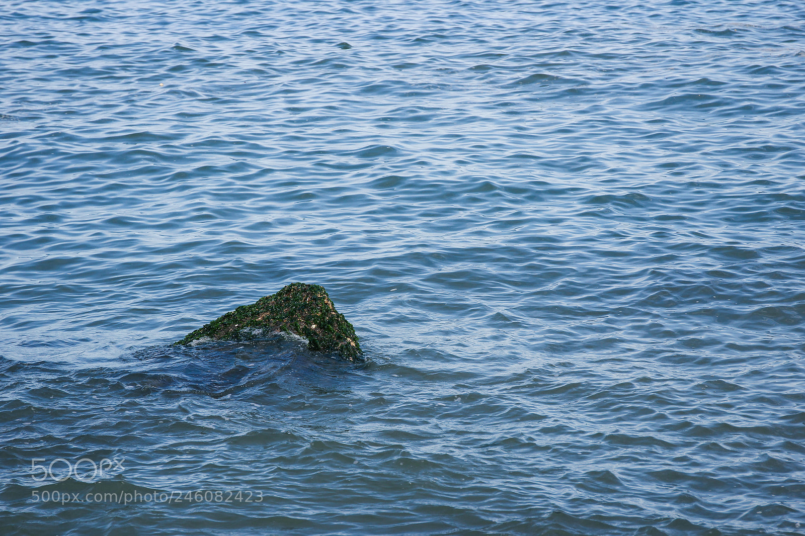 Canon EOS 60D sample photo. The sea. photography