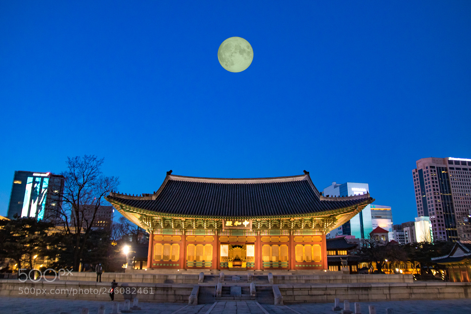 Canon EOS 750D (EOS Rebel T6i / EOS Kiss X8i) sample photo. Seoul photography