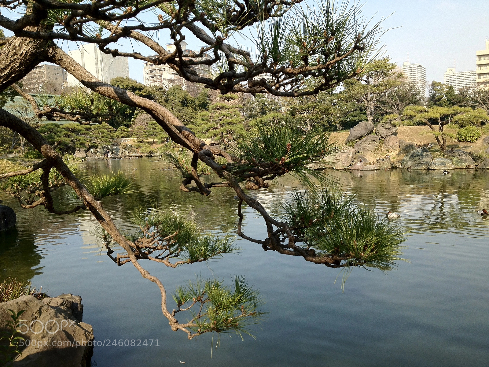 Apple iPhone 4S sample photo. Japan park photography