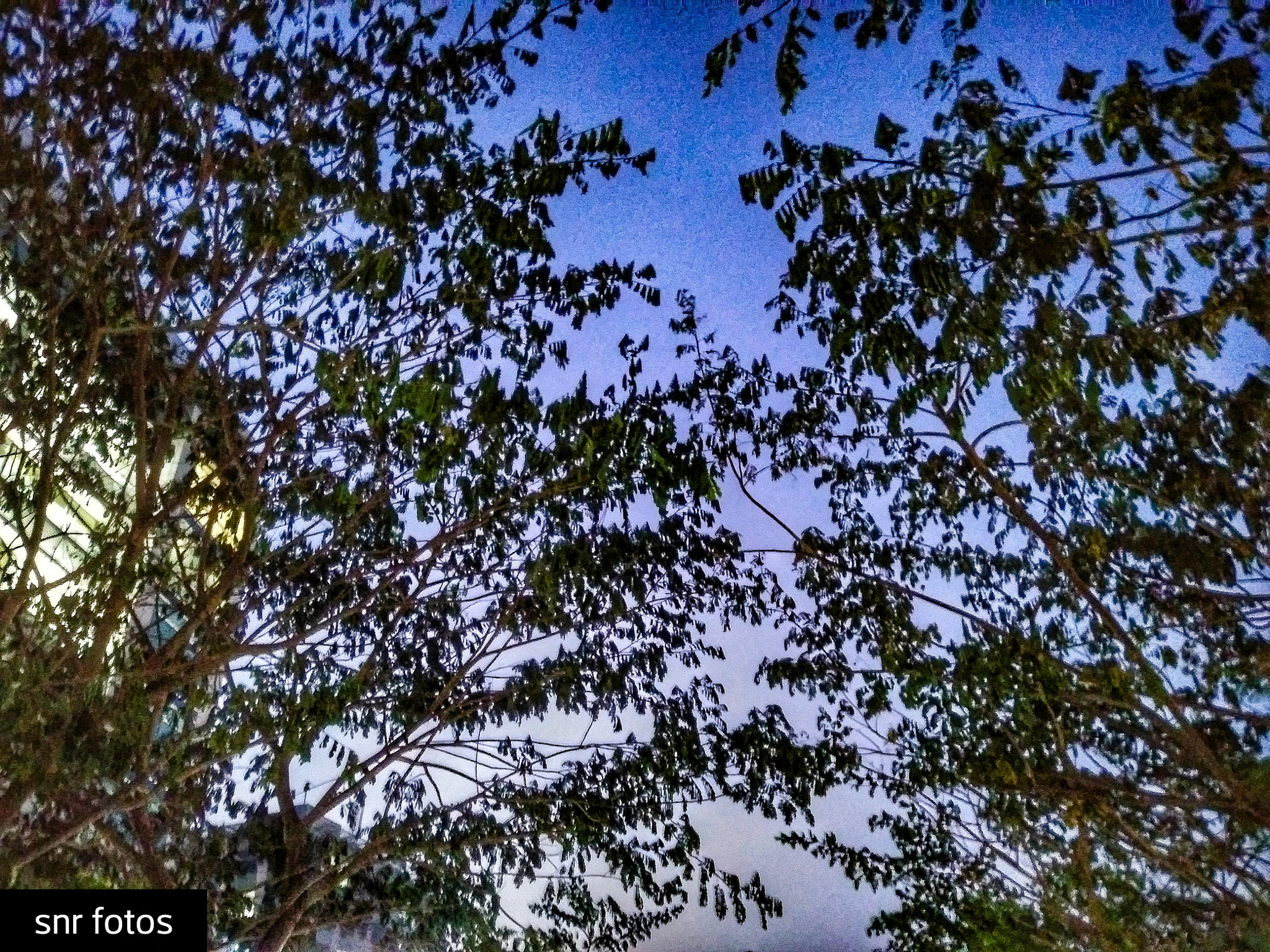 LG Q6 sample photo. A blue evening photography