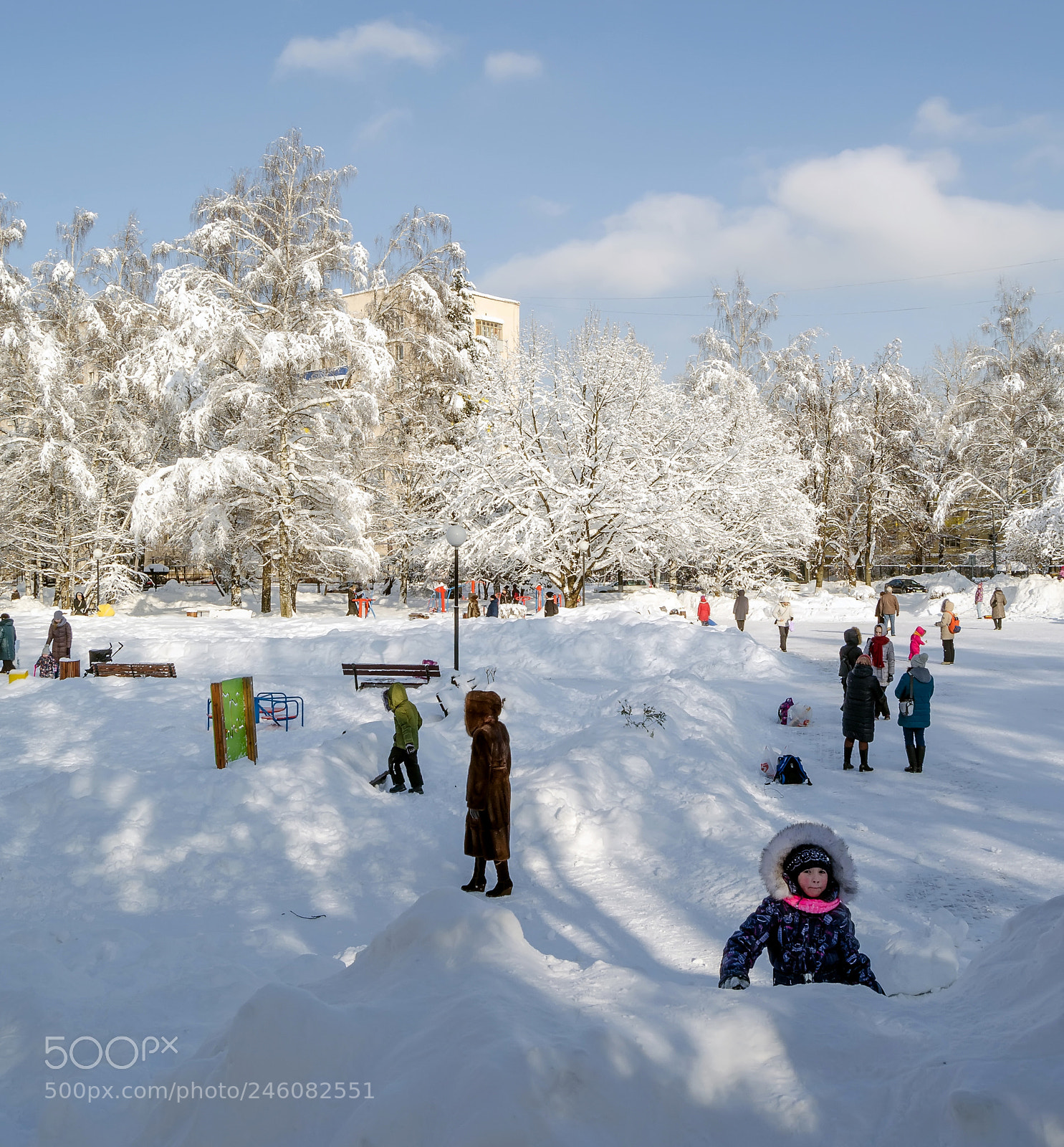 Nikon D5100 sample photo. зима photography