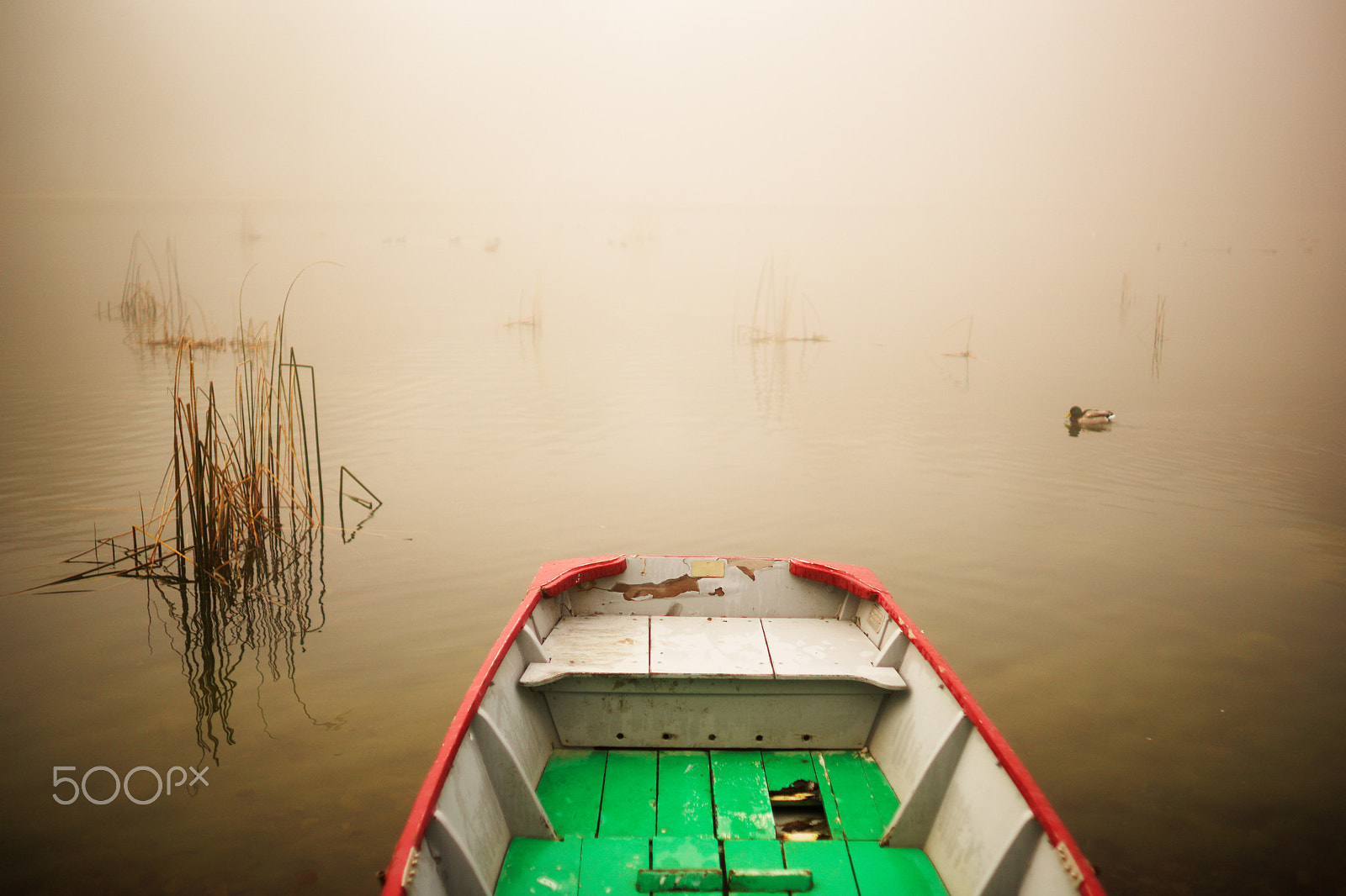 Sony a99 II sample photo. Sauvabelin, 29-01-2018, #4 photography