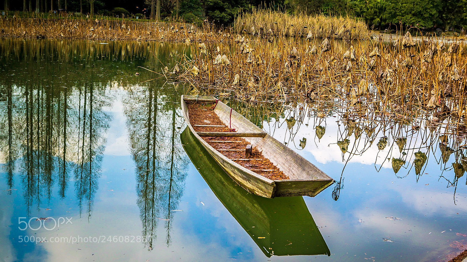 Canon EOS-1D X sample photo. Reflection photography