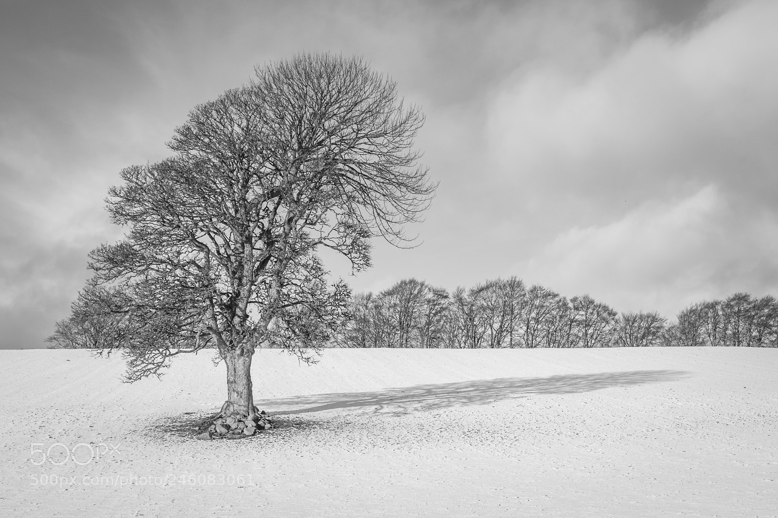 Nikon D810 sample photo. Stand alone photography