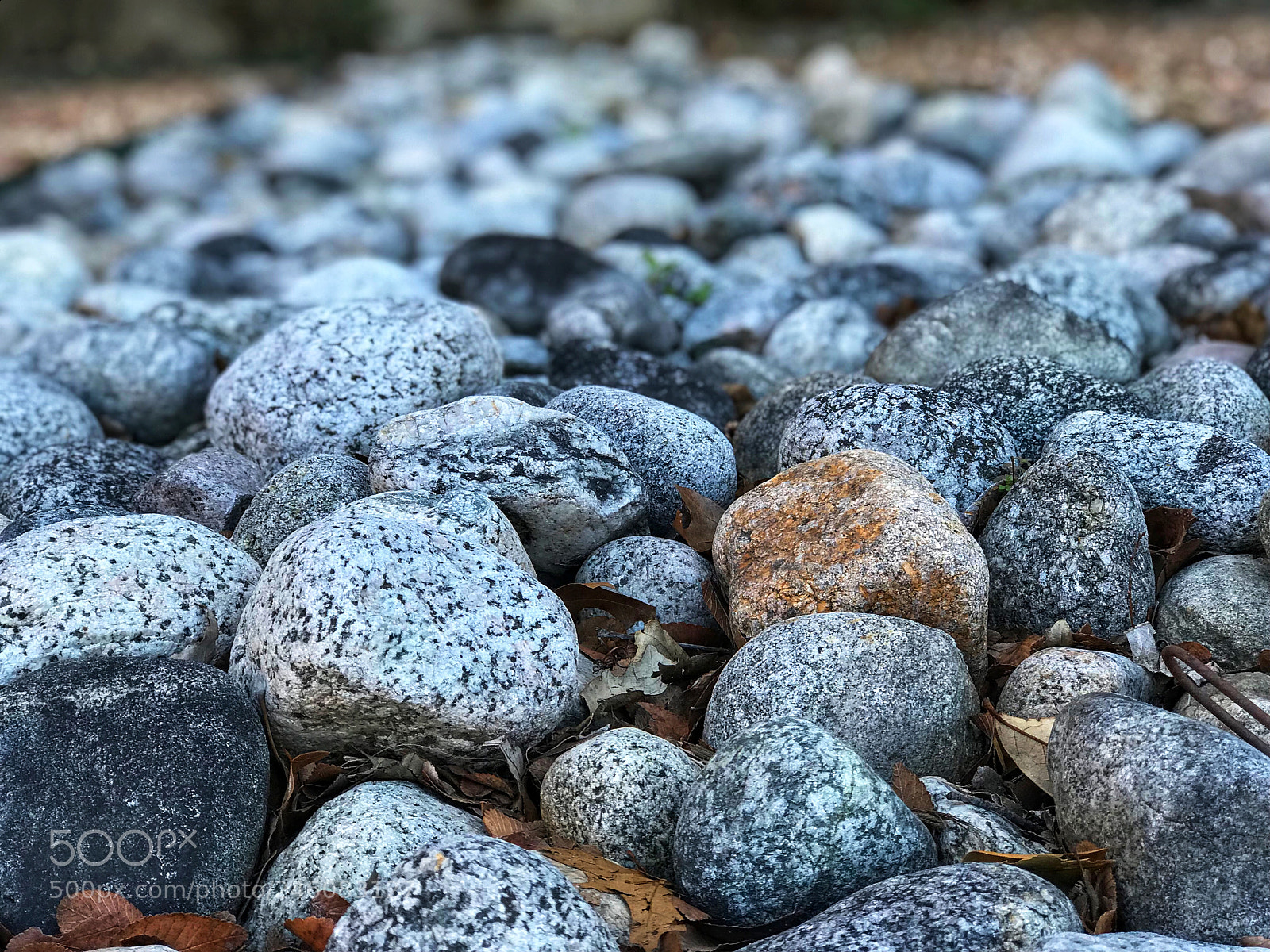 Apple iPhone 7 Plus sample photo. “dry river” photography