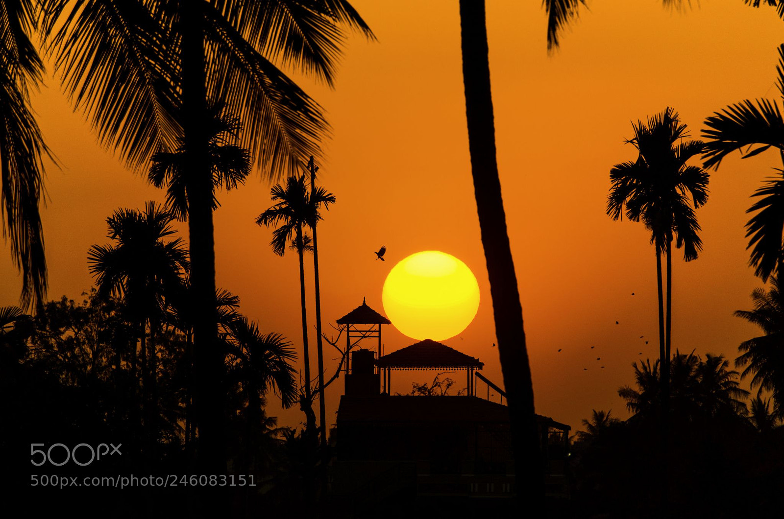 Nikon D5100 sample photo. Sunset photography