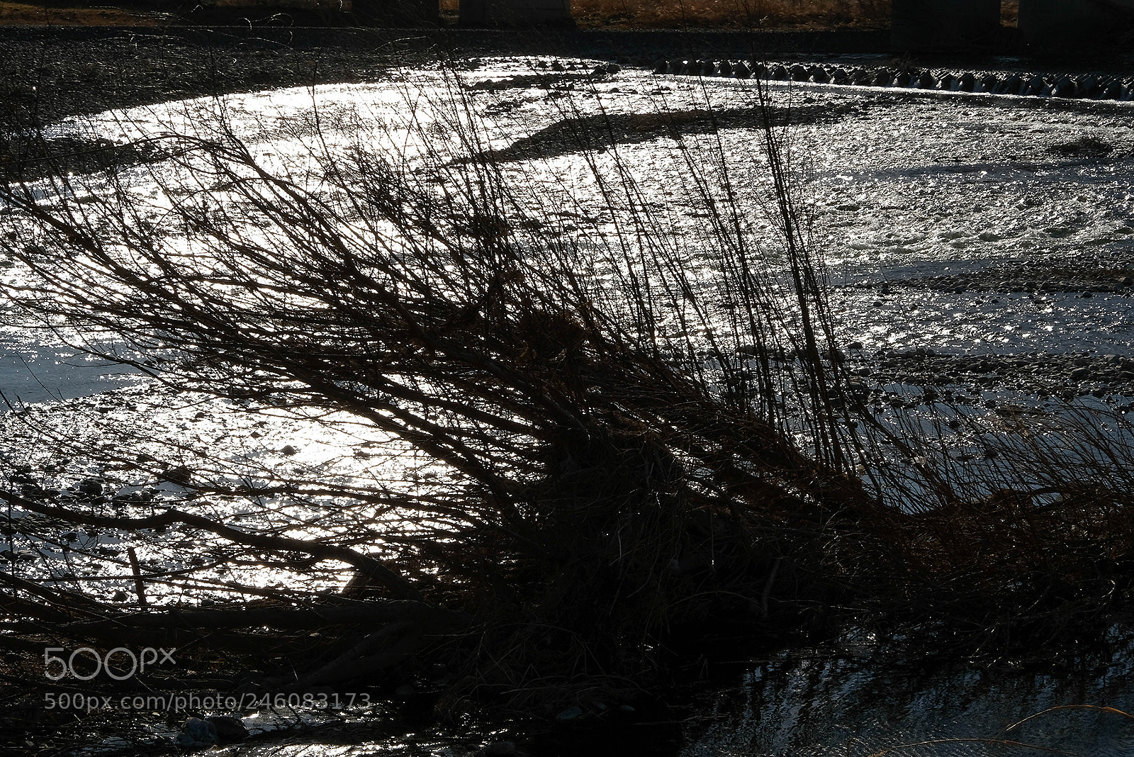 Fujifilm X-T2 sample photo. Ara river saitama photography