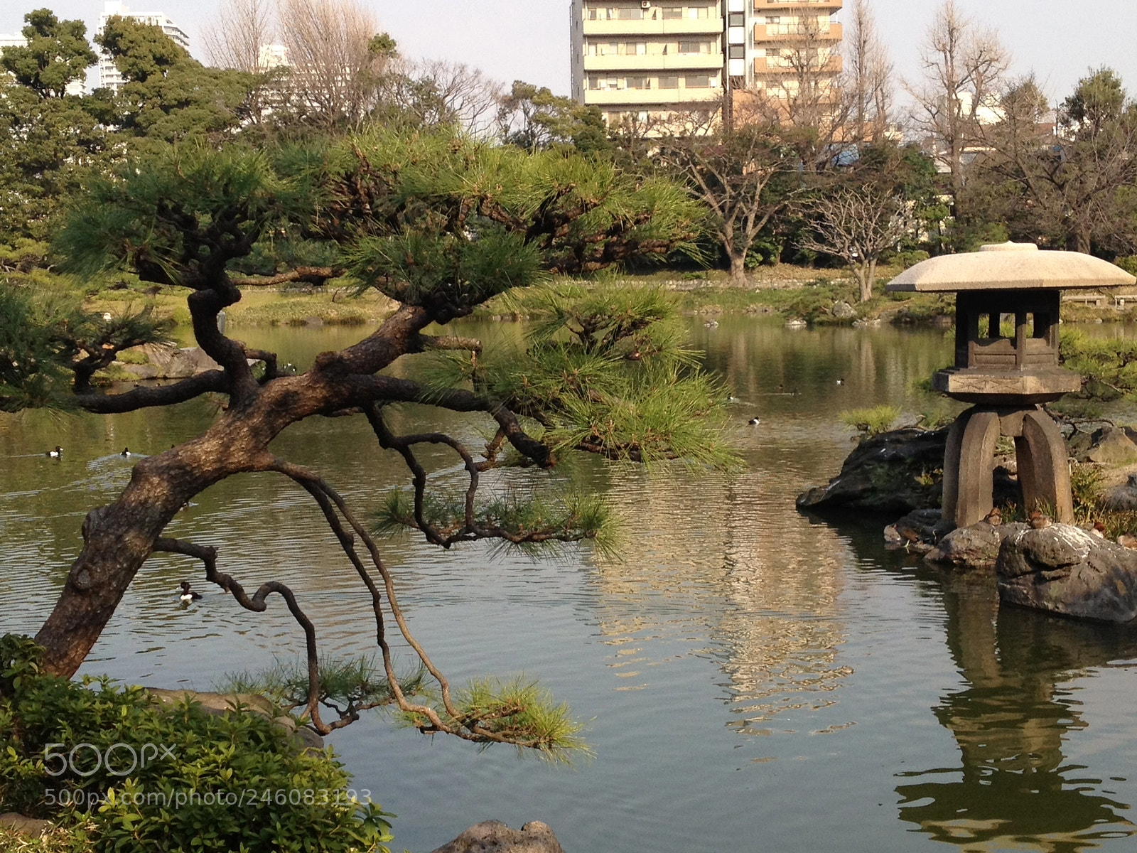Apple iPhone 4S sample photo. Japan park photography