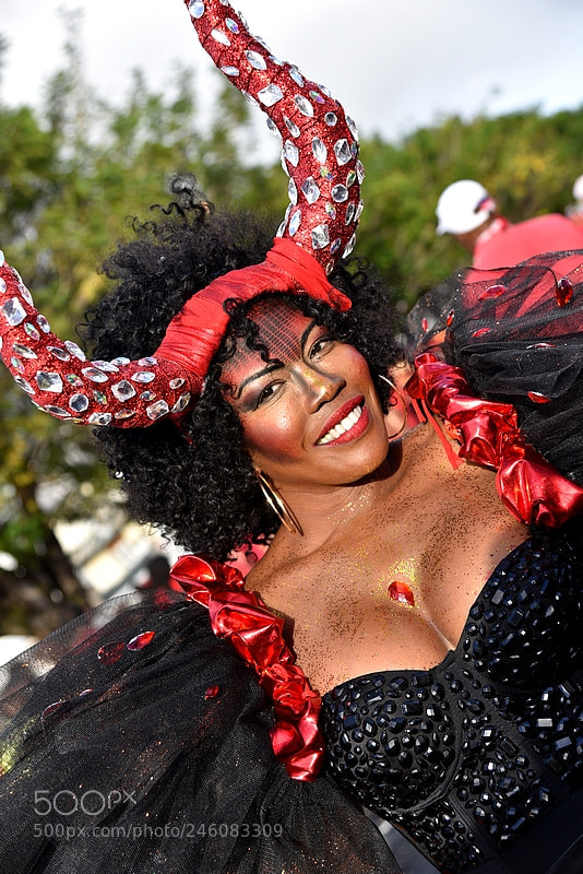 Nikon AF-S Nikkor 24-120mm F4G ED VR sample photo. Carnaval photography