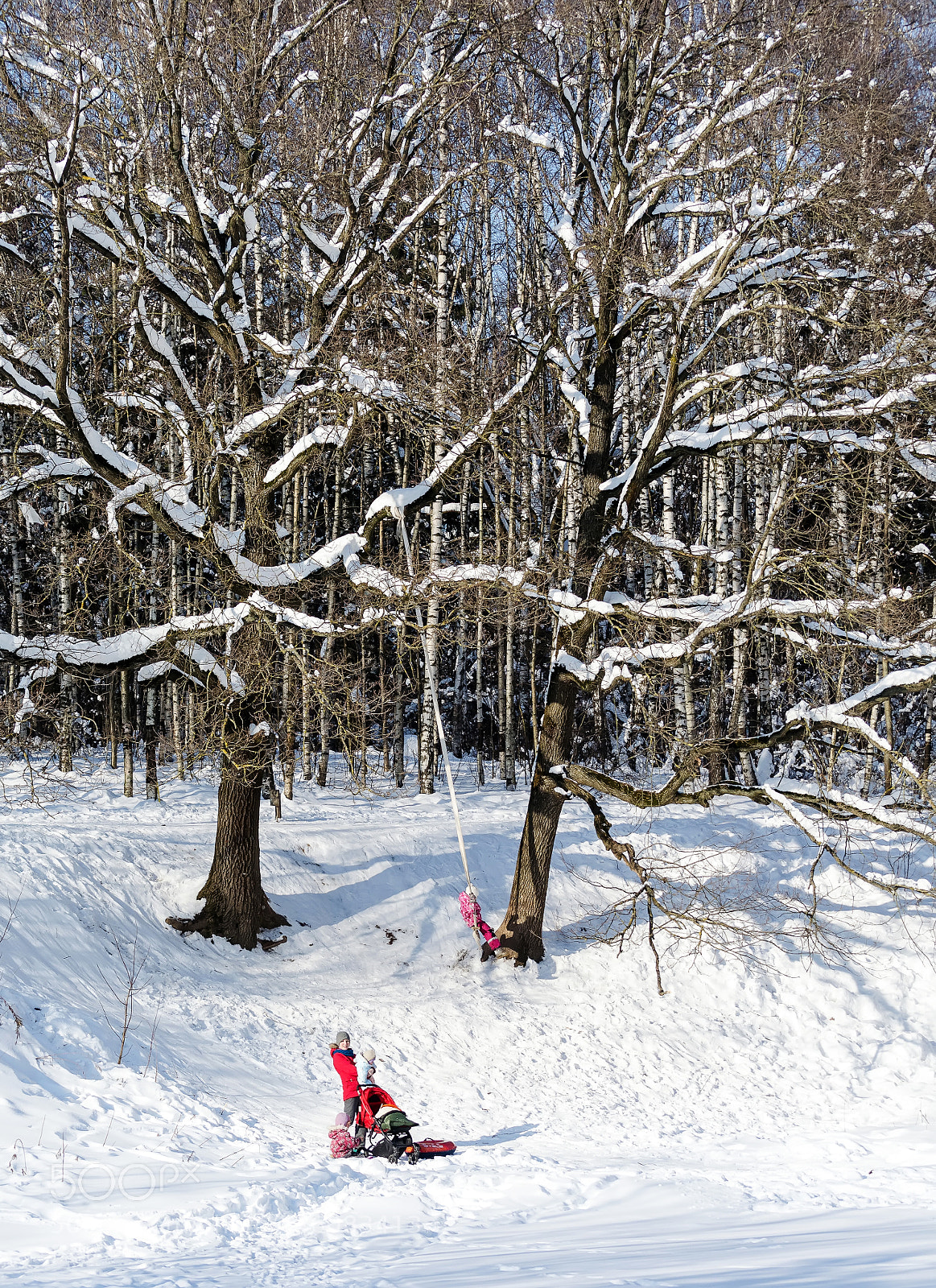Nikon D5100 sample photo. зима photography