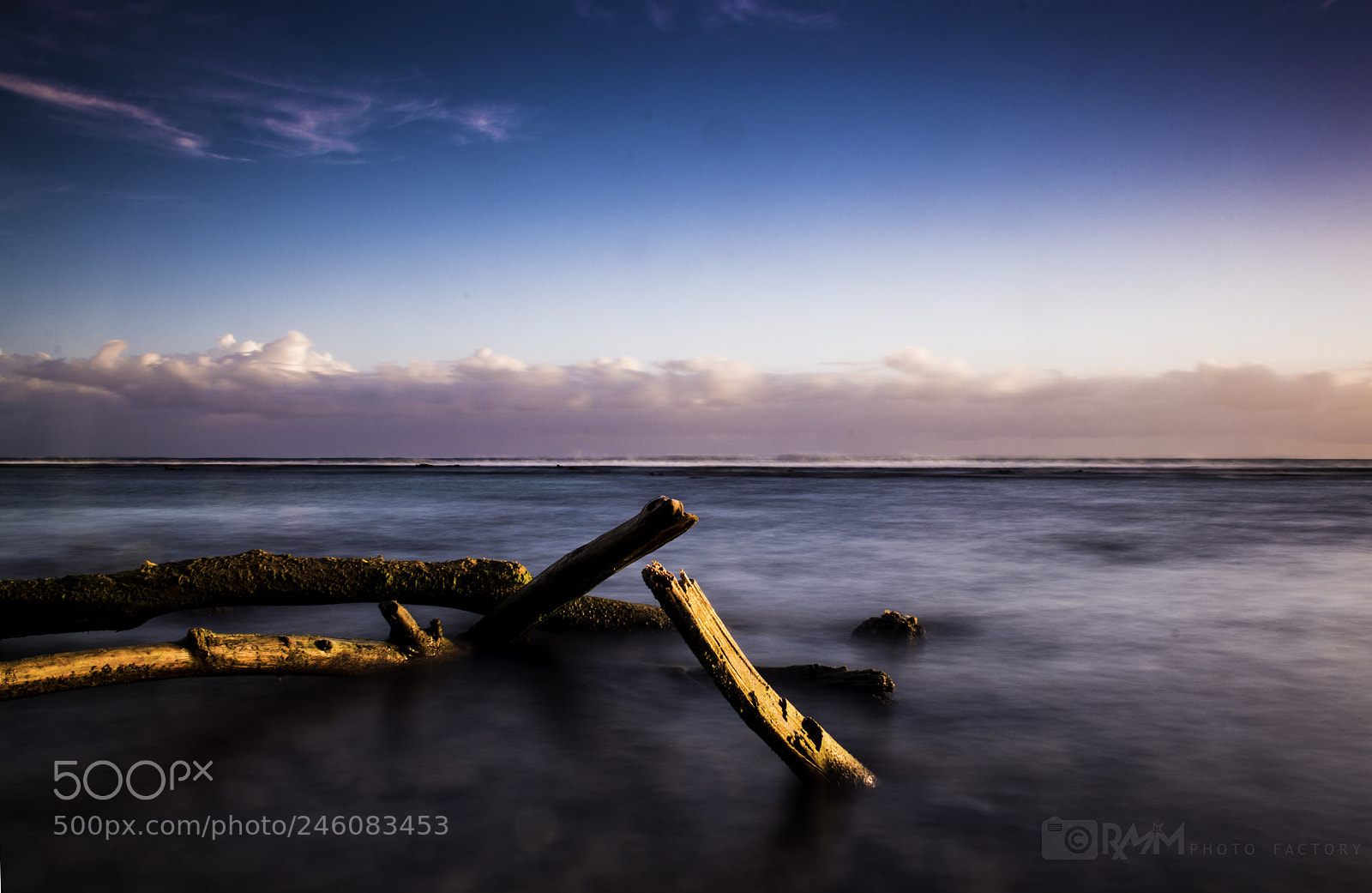 Nikon D3200 sample photo. 6-365.jpg photography