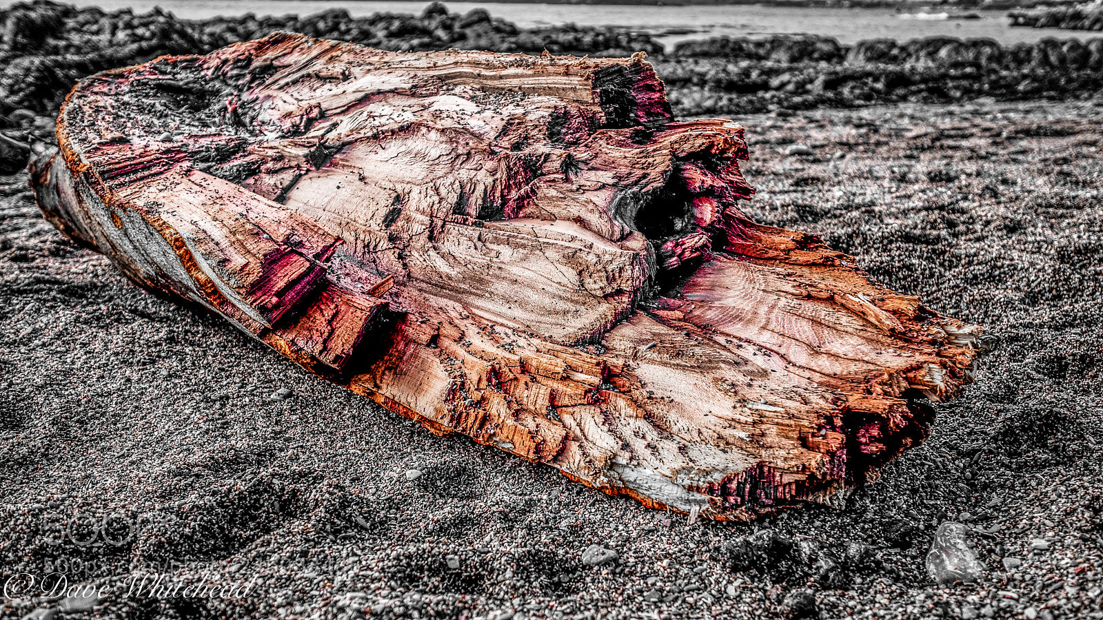 Fujifilm X-T2 sample photo. Driftwood photography