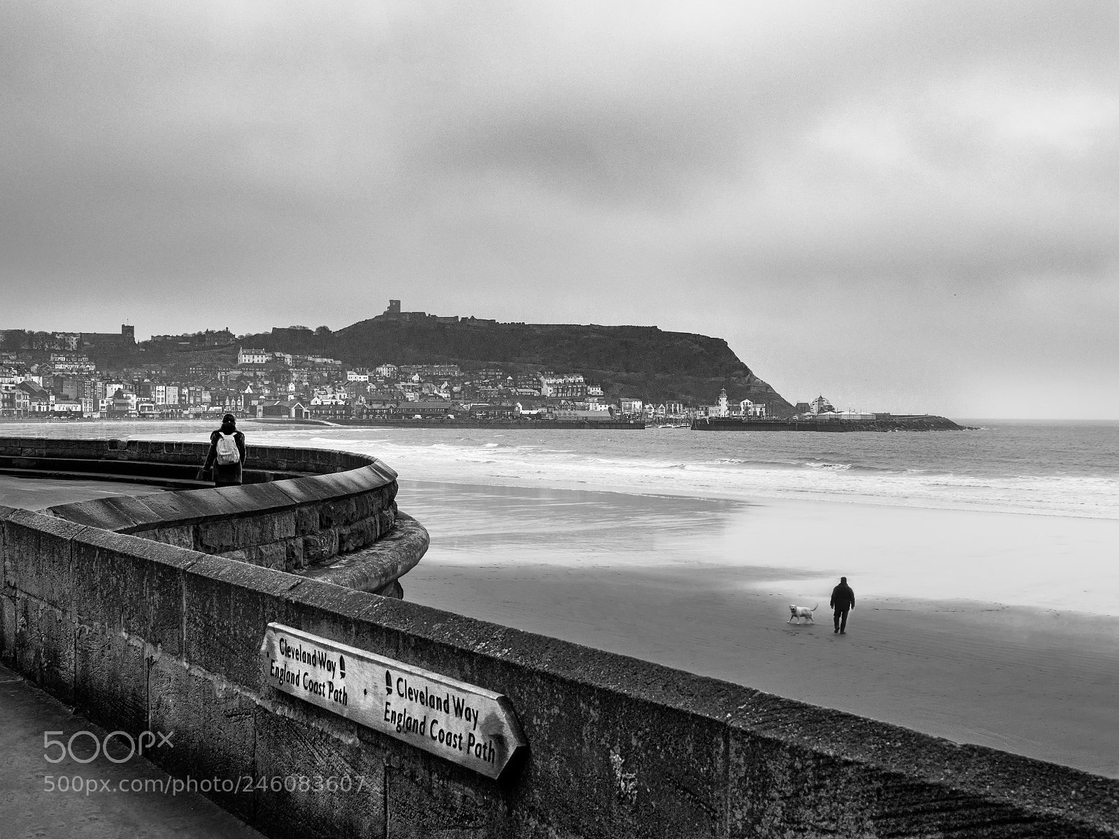 Olympus OM-D E-M1 Mark II sample photo. Scarborough photography