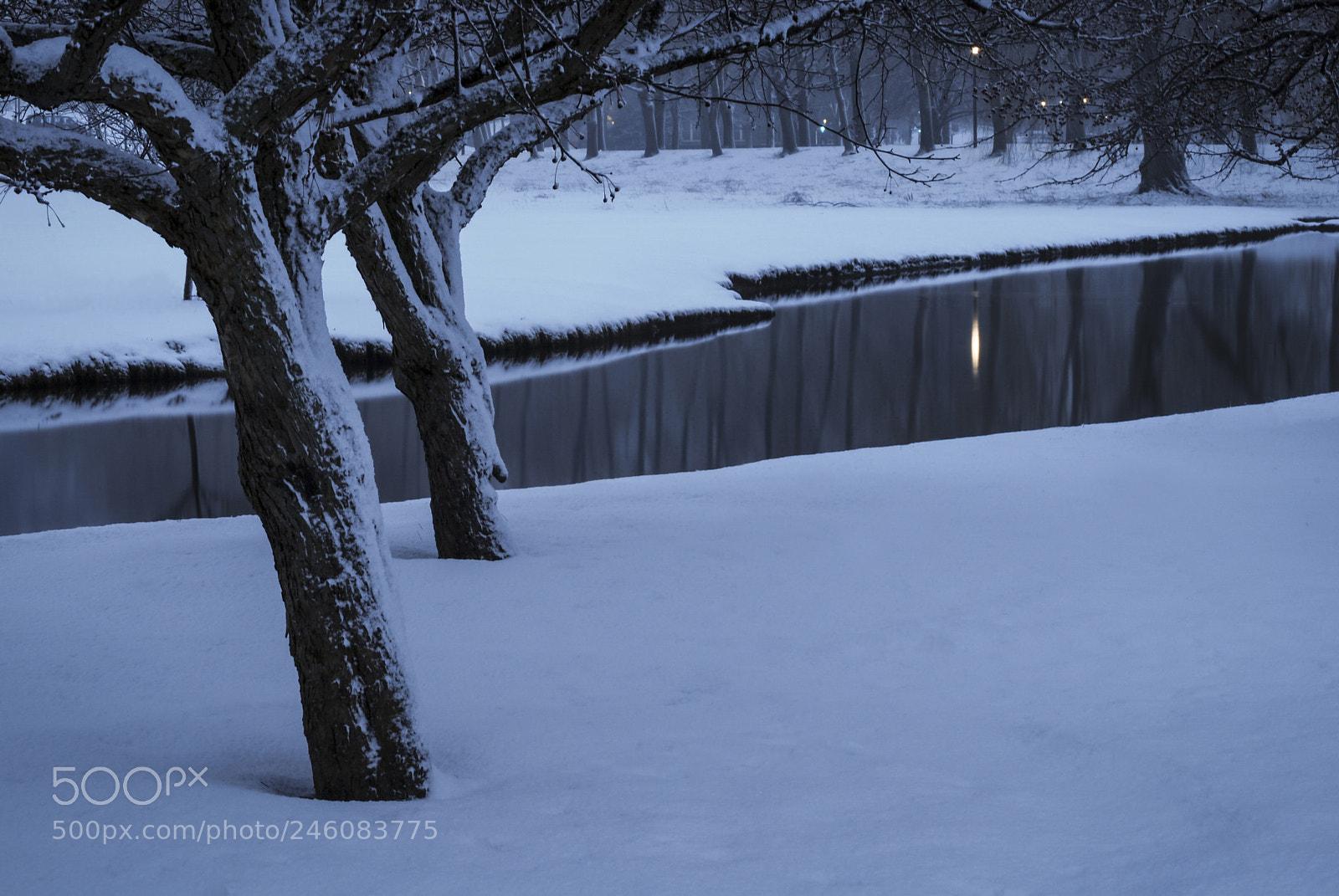Nikon D40X sample photo. Evening blue photography