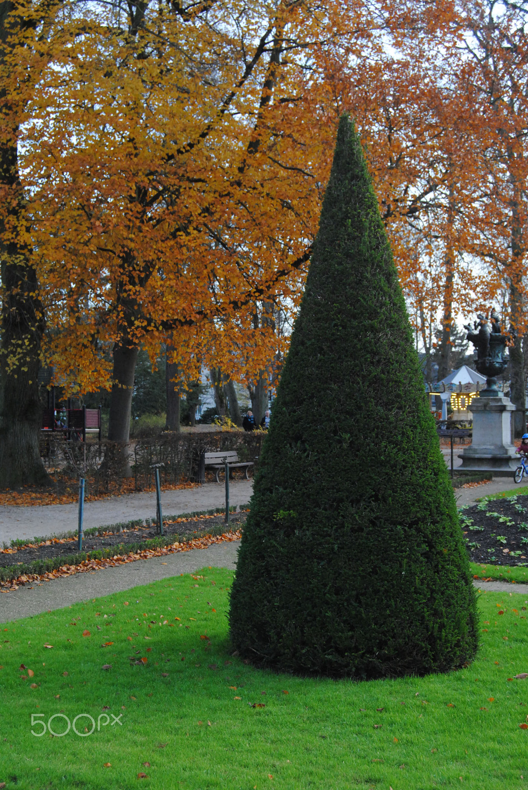 Nikon D3000 sample photo. Autumn trees in a park photography