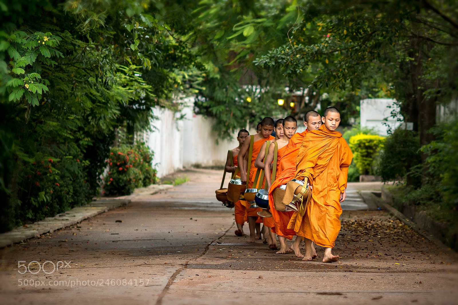 Nikon D800 sample photo. Neighborhood monks photography