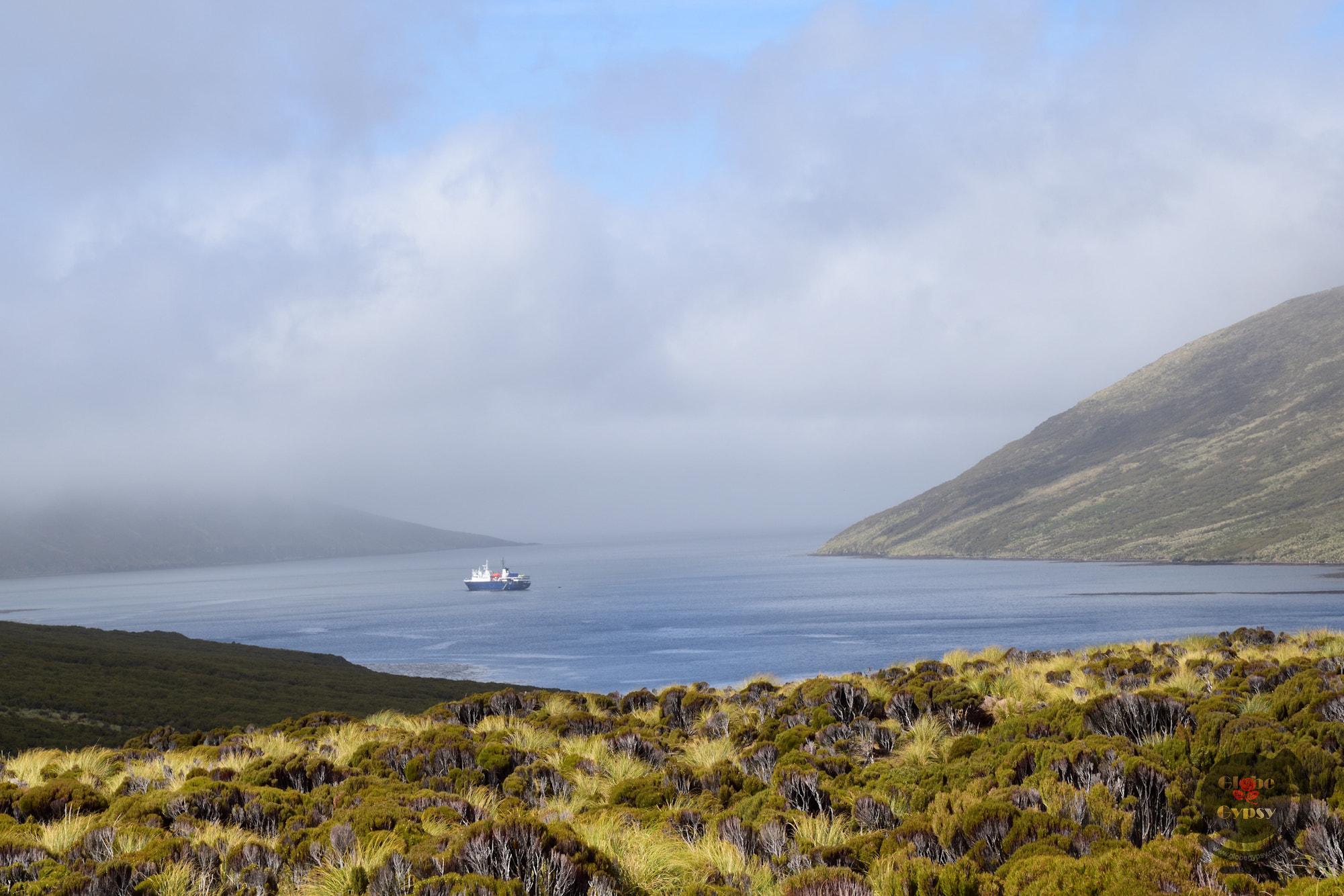 Nikon D5500 sample photo. Campbell island photography