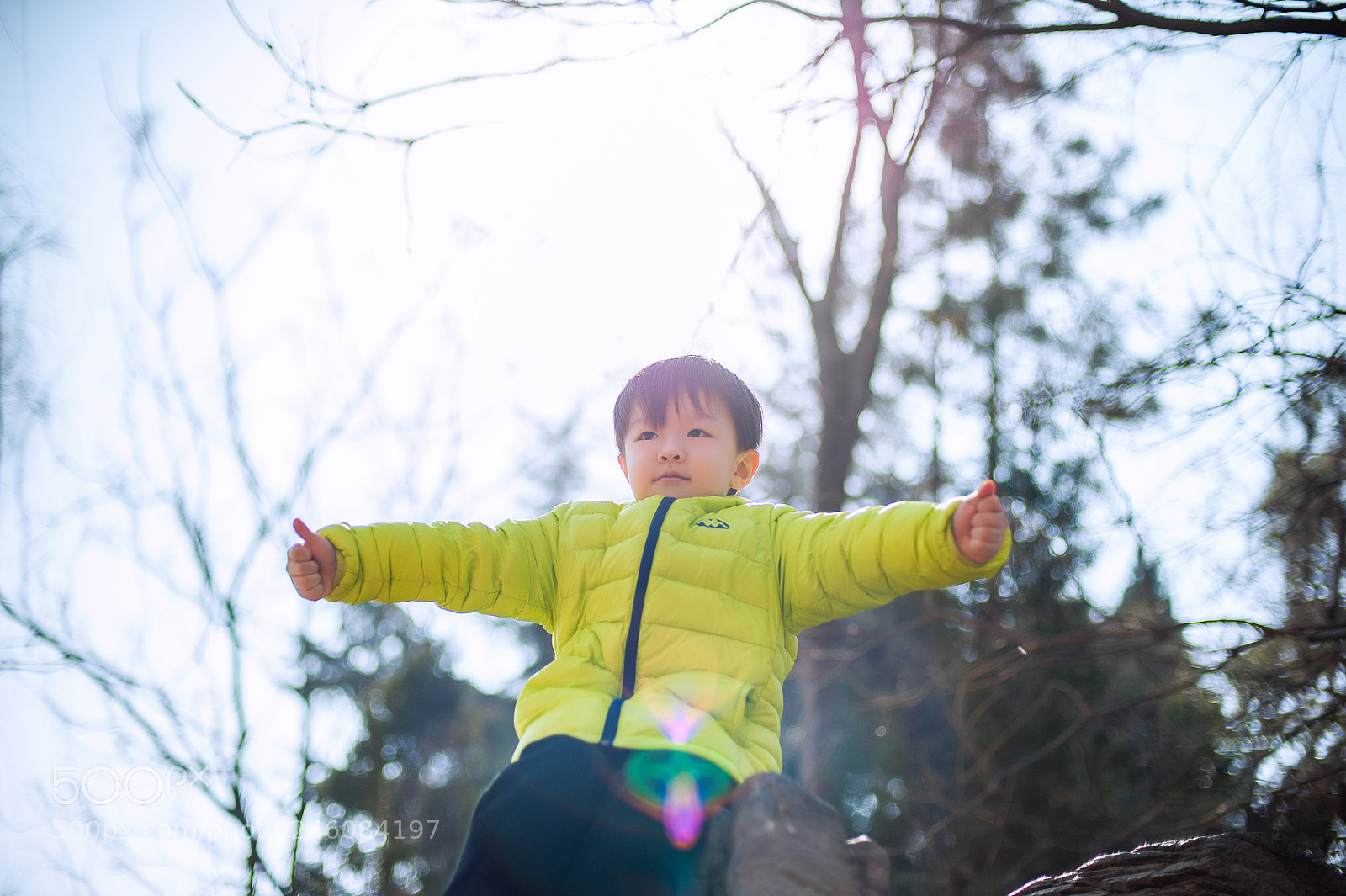 Nikon D700 sample photo. Untitled photography
