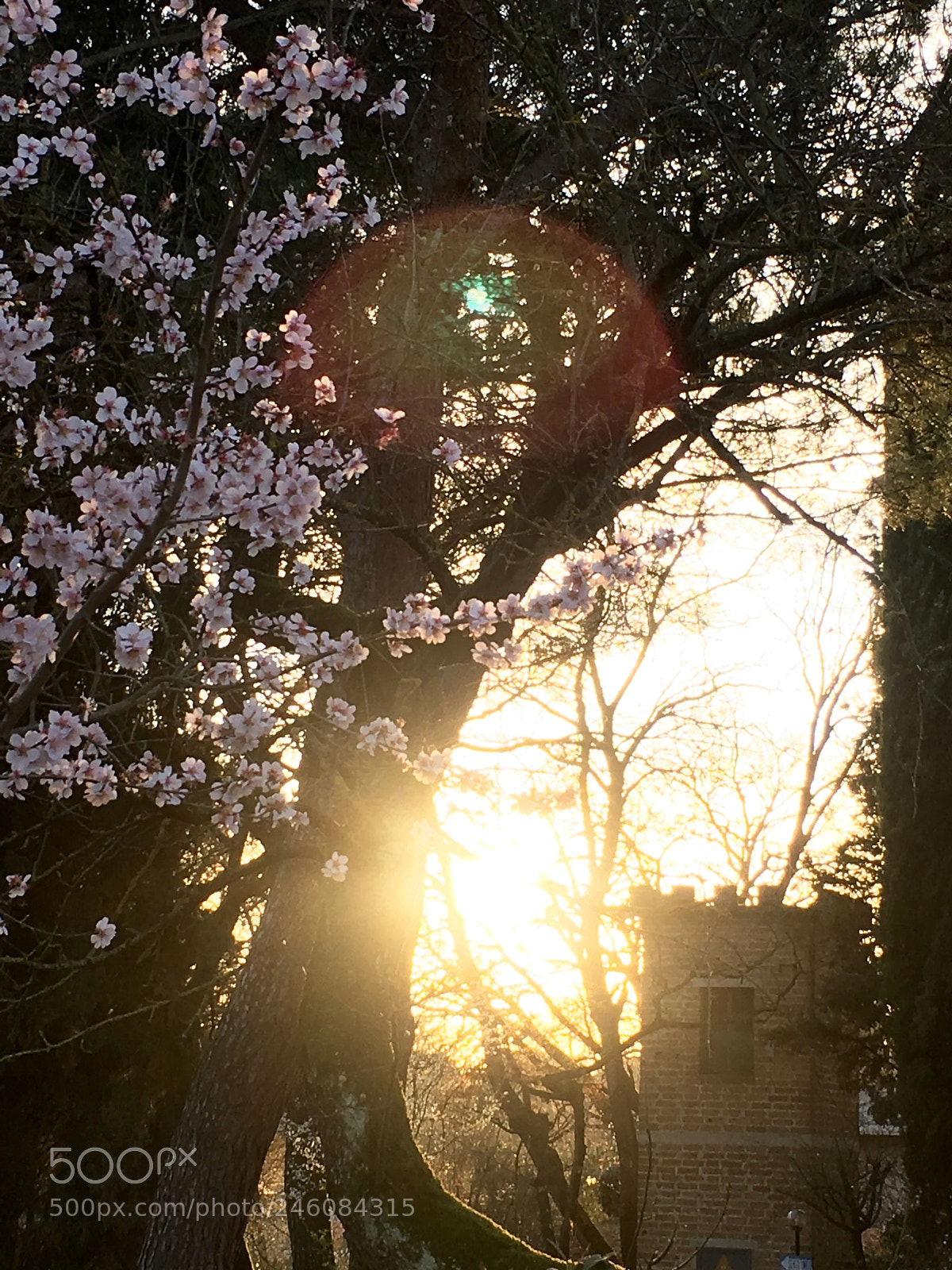 Apple iPhone 6s sample photo. La bellezza della natura photography
