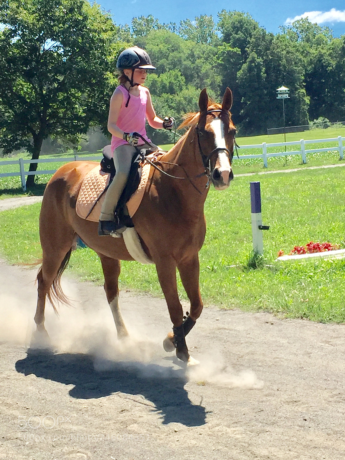 Apple iPhone 6 sample photo. Horse back riding photography