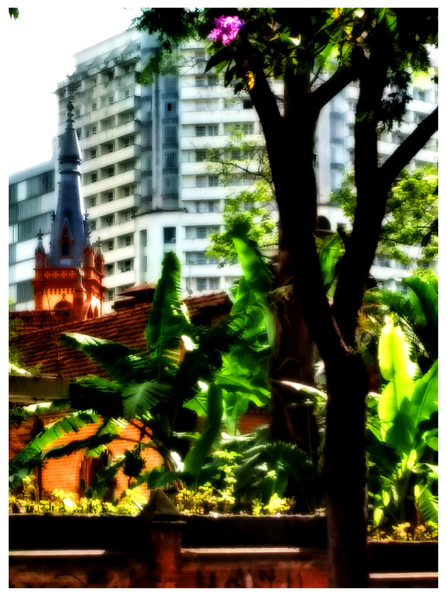 Motorola Moto E with 4G LTE (2nd Gen) sample photo. ... photography