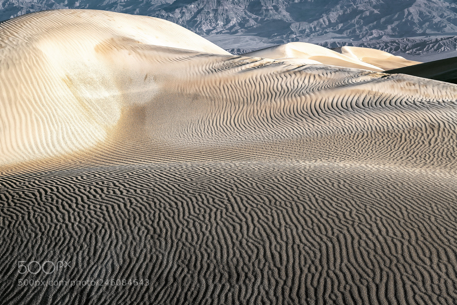 Nikon D850 sample photo. Sand patterns, mesquite flat photography