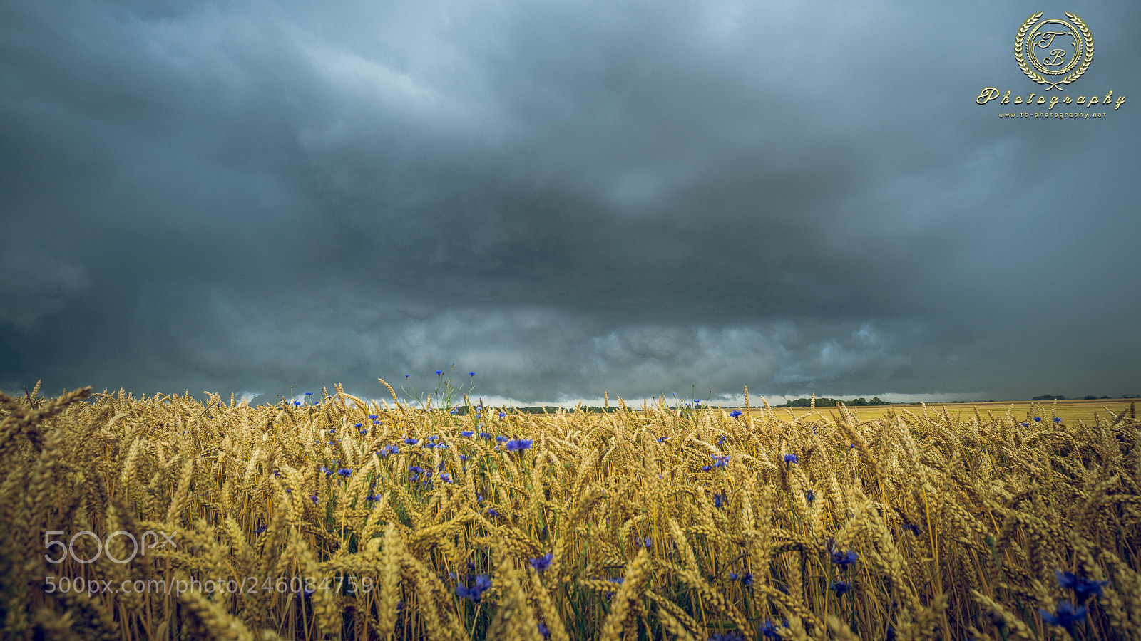 Nikon D800 sample photo. Unwetter bei dranske photography