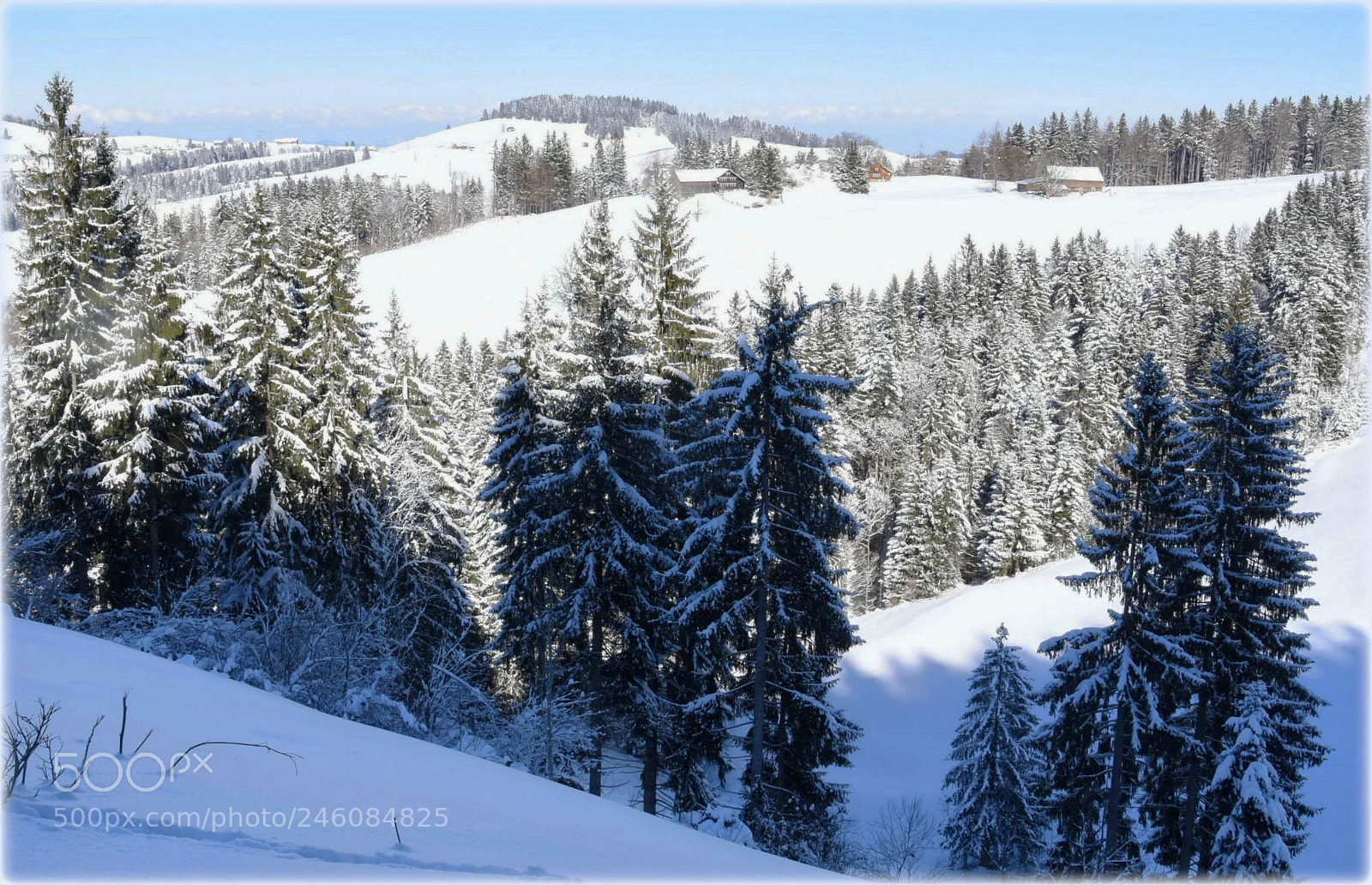 Nikon D7200 sample photo. "view,;" photography